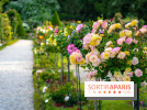 Le Parc de Bagatelle