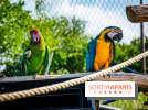 Parrot World, le parc animalier immersif d'Île-de-France