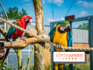 Parrot World, le parc animalier immersif d'Île-de-France