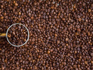 Le prix du café risque d'augmenter à la rentrée