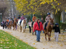 Cheval dans la ville, Parc de Choisy, Equitation, Sport, Paris