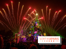 30 ans Disneyland Paris : Disney Illumination Feu d'artifice
