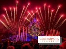 30 ans Disneyland Paris : Disney Illumination Feu d'artifice