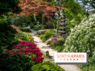 Les jardins du Musée Albert Kahn, nos photos 