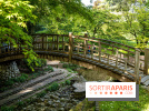 Les jardins du Musée Albert Kahn, nos photos 