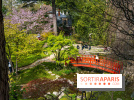 Les jardins du Musée Albert Kahn, nos photos