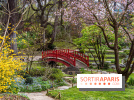 Les jardins du Musée Albert Kahn, nos photos