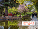 Les jardins du Musée Albert Kahn, nos photos
