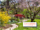Les jardins du Musée Albert Kahn, nos photos