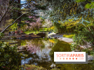 Les jardins du Musée Albert Kahn, nos photos