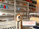 Barkers+Brothers, le concept store canin pour chouchouter son chien à Montmartre
