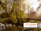 Arboretum de la Vallée-aux-Loups, une balade au milieu des arbres remarquables