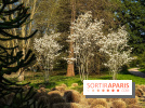 Arboretum de la Vallée-aux-Loups, une balade au milieu des arbres remarquables