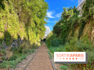 Balade sur la Petite Ceinture du 14 au 16e arrondissement : un sentier nature dépaysant