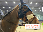 cheval - Saut Hermès