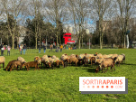 Transhumance à la Villette - 0A0601BF B46E 4CB3 8C5C 8FCED47E3559