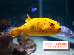 Aquarium Sea Life