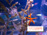 Aquarium Sea Life