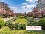 Parc de Bécon à Courbevoie - Pavillon des Indes - Cerisiers en fleurs