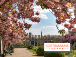 Parc de Bécon à Courbevoie - Pavillon des Indes - Cerisiers en fleurs