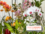Esprit Jardin à Versailles - Marché aux plantes et animations