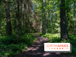 Visuel forêt