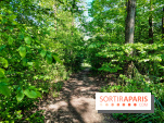 Balade nature dans la forêt de Montmorency, nos photos