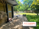 La ferme de la Villette et ses animaux