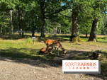 Espace Rambouillet