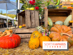Automne au Potager du Roi - Citrouilles - Halloween