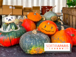 Automne au Potager du Roi - Citrouilles - Halloween