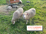 La ferme pédagogique du parc des Chanteraines