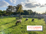La ferme pédagogique du parc des Chanteraines - image00045