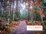 Le sentier de l'érosion à Fontainebleau - balade en forêt