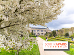 Visuel Paris 5e - jardin des plantes  - printemps - cerisiers