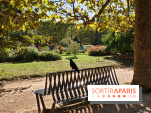 Visuel Paris 5e - corneille corbeau jardin des plantes