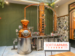 La Distillerie de l’Arbre Sec : l'atelier de création de gin à deux pas du Louvre