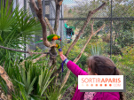 Visuels enfants, attractions, parc, Jardin d'Acclimatation, animaux, zoo - image00034