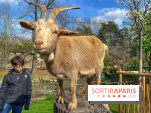 Visuels enfants, attractions, parc, Jardin d'Acclimatation, animaux, zoo
