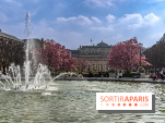 Les magnolias du Jardin du Palais Royal  - printemps - visuel Paris - fontaine - chaleur - beau temps