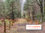 Arbor&Sens, l'Arboretum de Franchard en forêt de Fontainebleau - les photos
