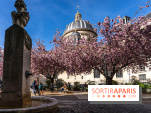 Square Gabriel Pierné à Paris - cerisiers en fleurs