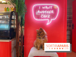 Casa del Doggo