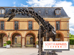 Un dinosaure géant au Château de Dampierre - Jurassique au Château de Dampierre