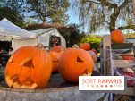 La Fête de la Citrouille - nos photos