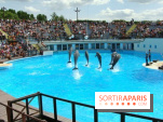 Parc Asterix
Dauphins