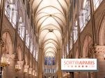 Visite de Notre-Dame de Paris