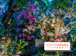 Mille et une orchidées 2025 - les photos