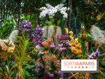 Mille et une orchidées 2025 - les photos
