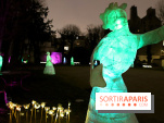 Exposition Silva Lumina au Centre Culturel Irlandais  - Silva Lumina 14